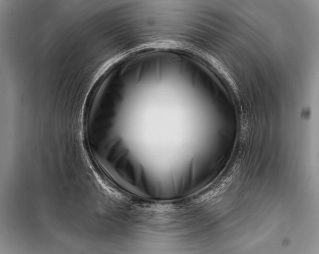 X0000100210845200806131250