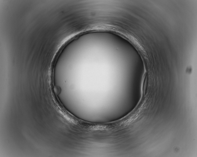 X0000100210846200806131250