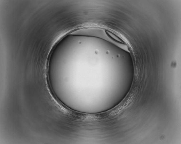 X0000100210847200806131250