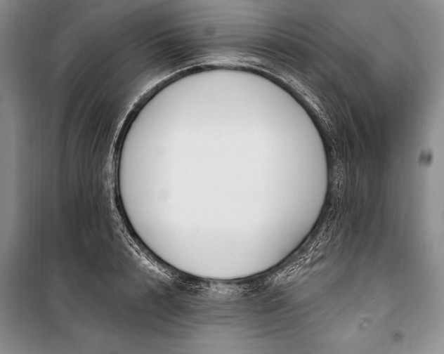 X0000100210848200806131250