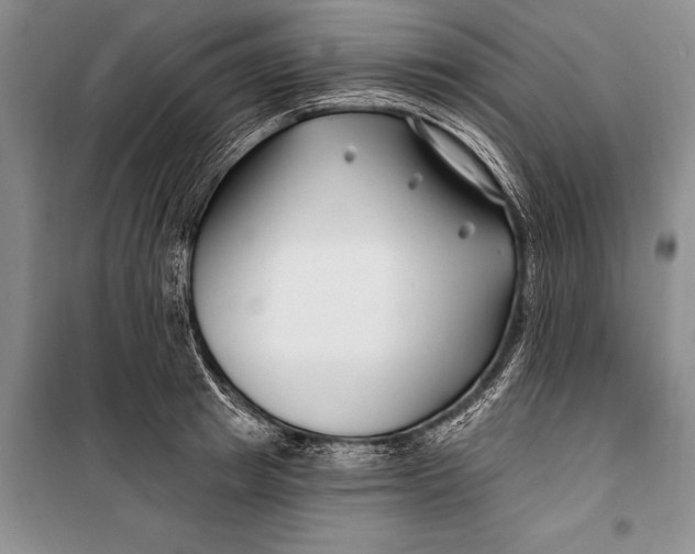 X0000100210849200806131250