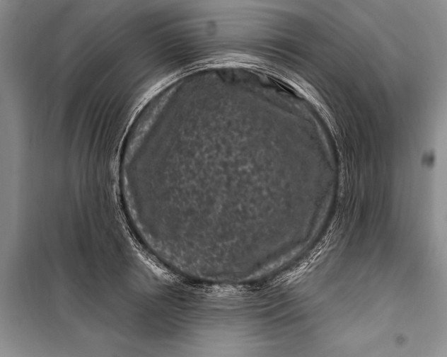 X0000100210850200806131250