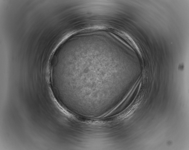 X0000100210851200806131250