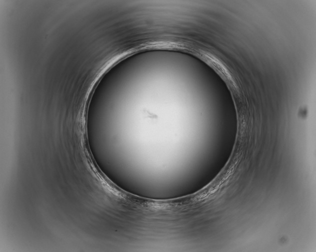 X0000100210852200806131250