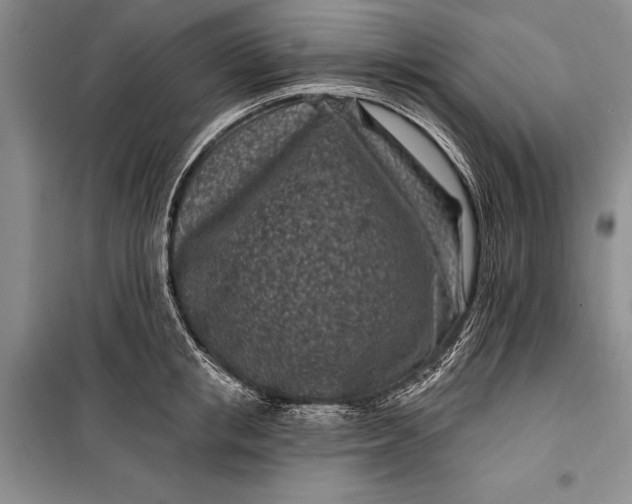 X0000100210853200806131250