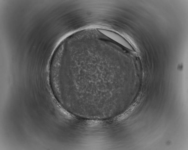 X0000100210854200806131250