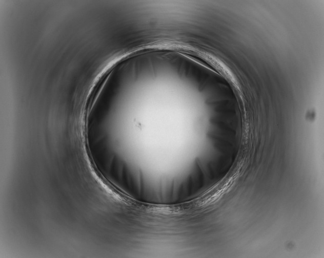 X0000100210855200806131250