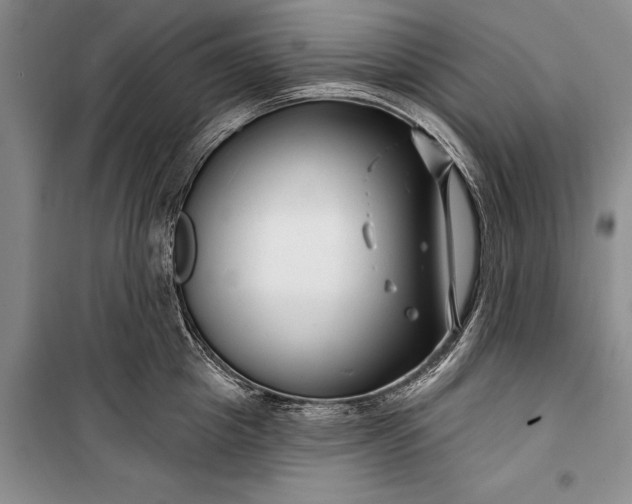 X0000100210857200806131250