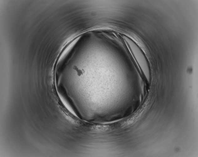 X0000100210858200806131250