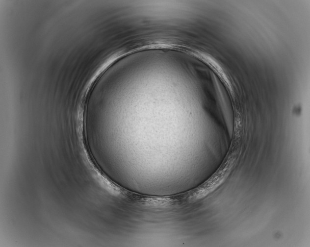 X0000100210859200806131250