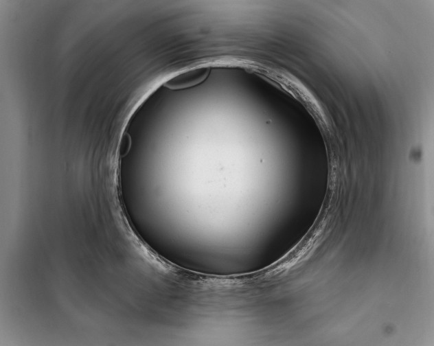 X0000100210860200806131250