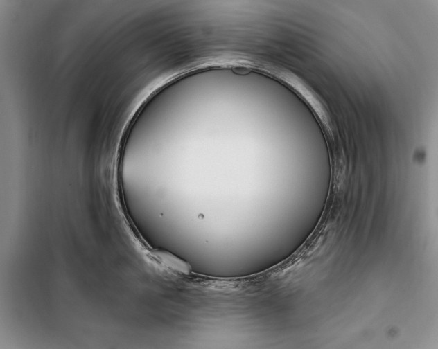 X0000100210861200806131250