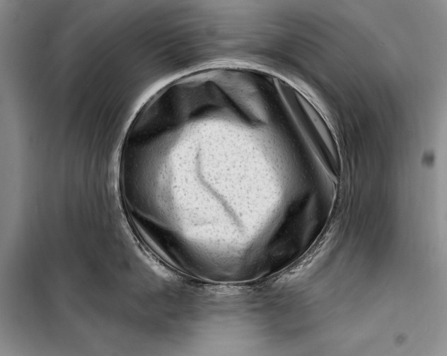 X0000100210862200806131250