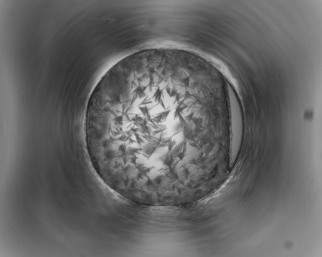 X0000100210863200806131250