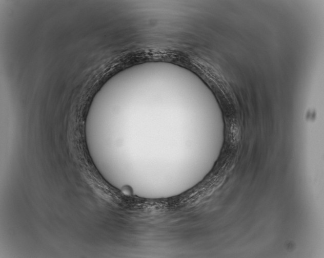 X0000100210865200806131250