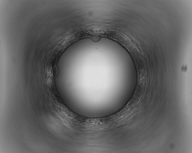 X0000100210866200806131250