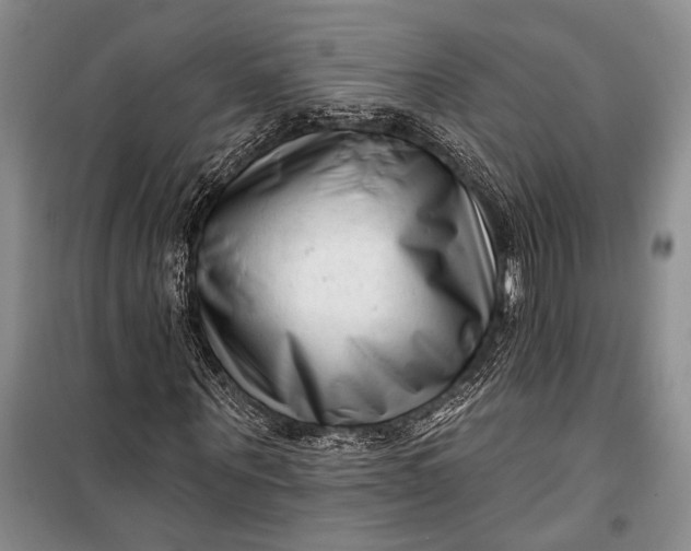 X0000100210867200806131250