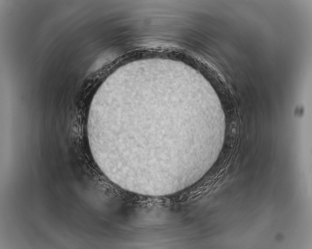 X0000100210869200806131250