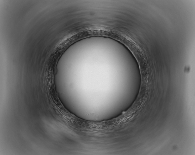 X0000100210870200806131250