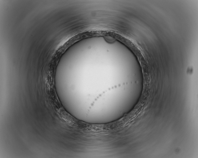 X0000100210871200806131250