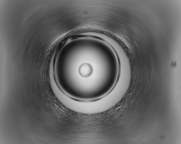 X0000100210872200806131250