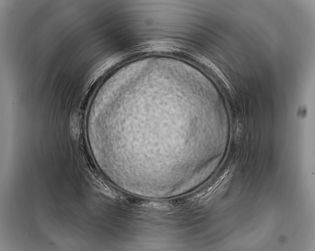 X0000100210874200806131250