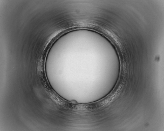 X0000100210875200806131250