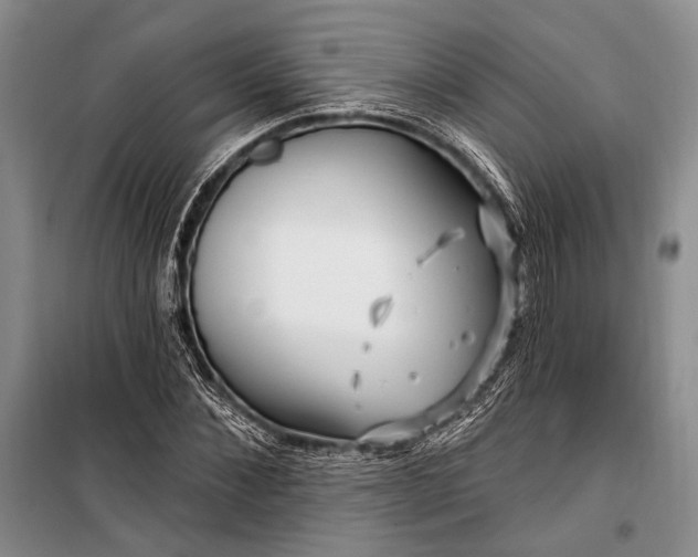 X0000100210876200806131250