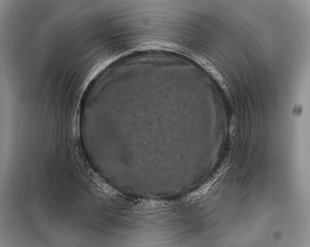 X0000100210877200806131250