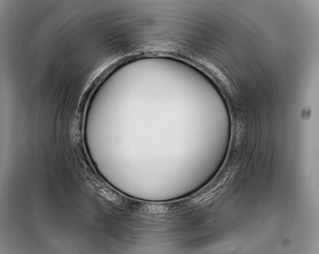 X0000100210878200806131250