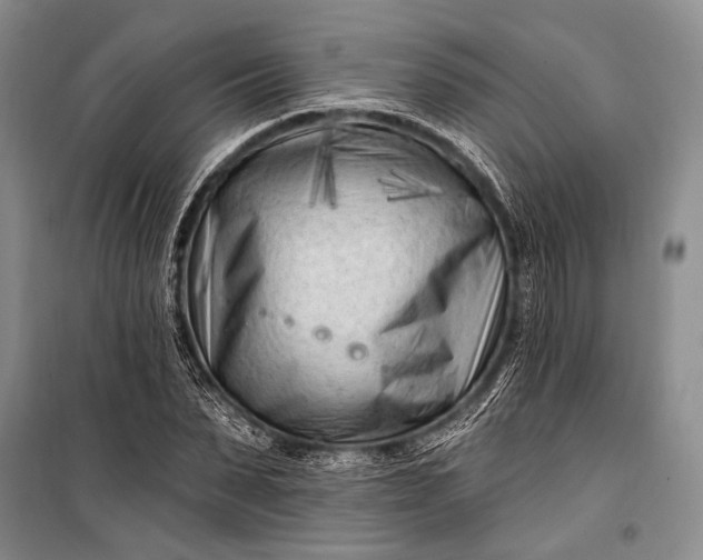 X0000100210879200806131250