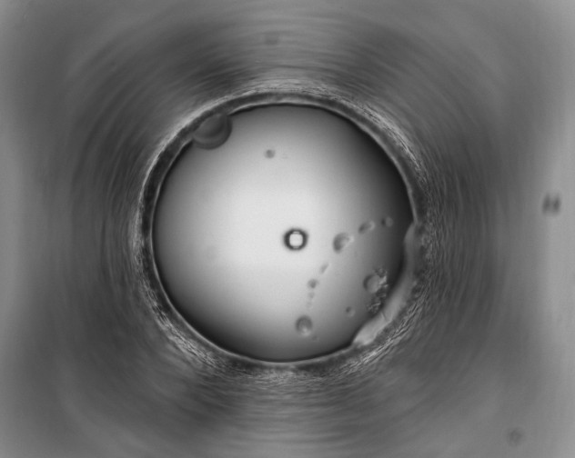 X0000100210880200806131250