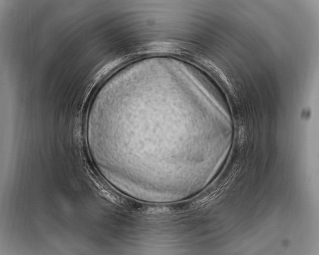 X0000100210882200806131250