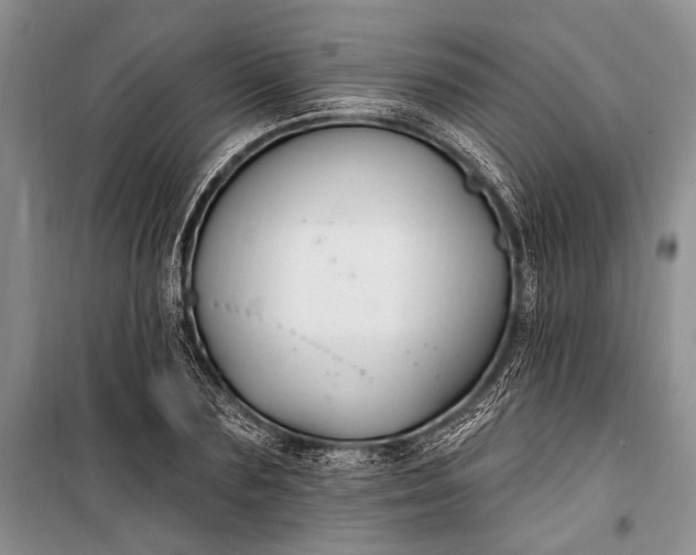 X0000100210883200806131250