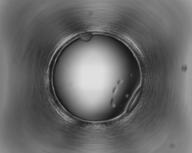 X0000100210884200806131250