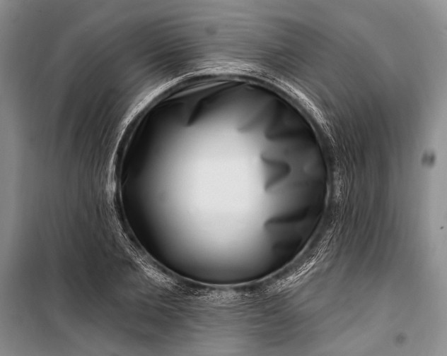 X0000100210885200806131250