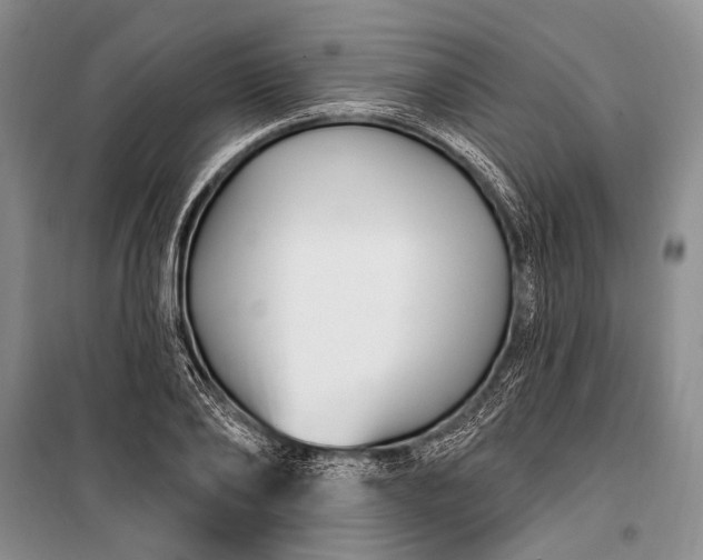 X0000100210886200806131249