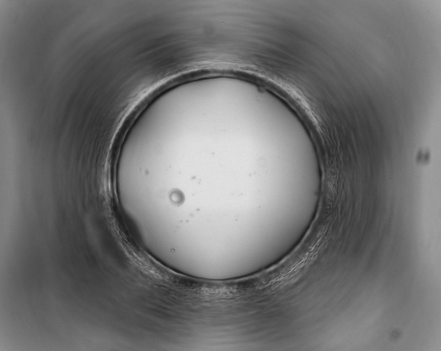 X0000100210887200806131249