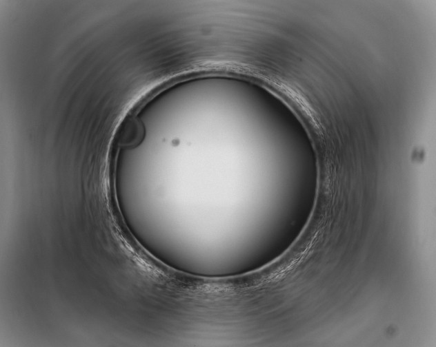 X0000100210888200806131249