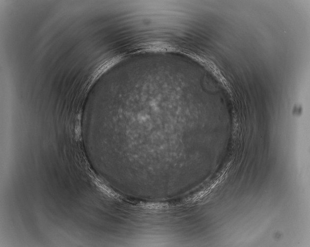 X0000100210889200806131249