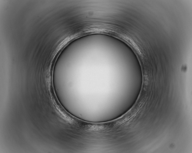 X0000100210890200806131249