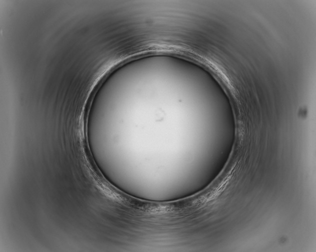 X0000100210891200806131249