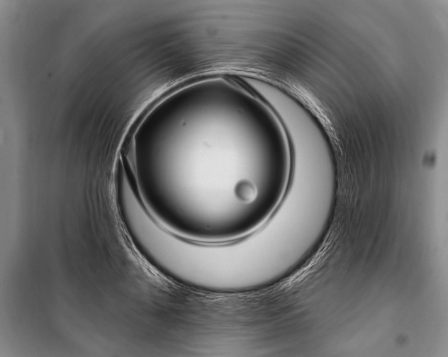 X0000100210892200806131249