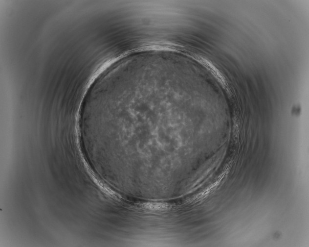 X0000100210893200806131249