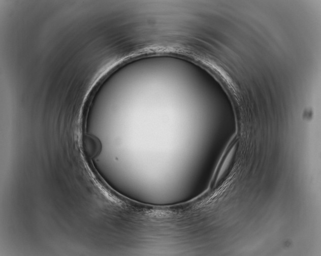 X0000100210894200806131249