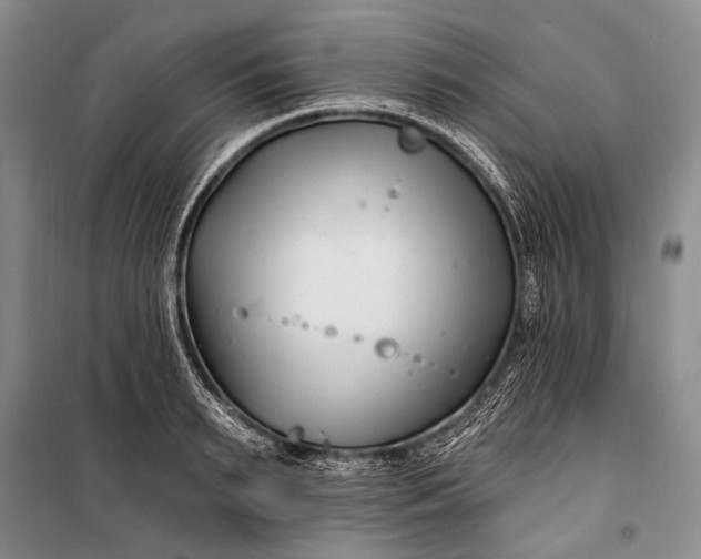 X0000100210895200806131249