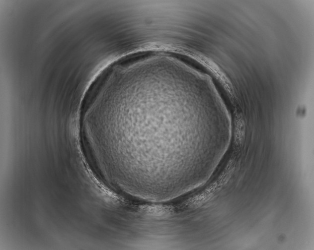 X0000100210896200806131249