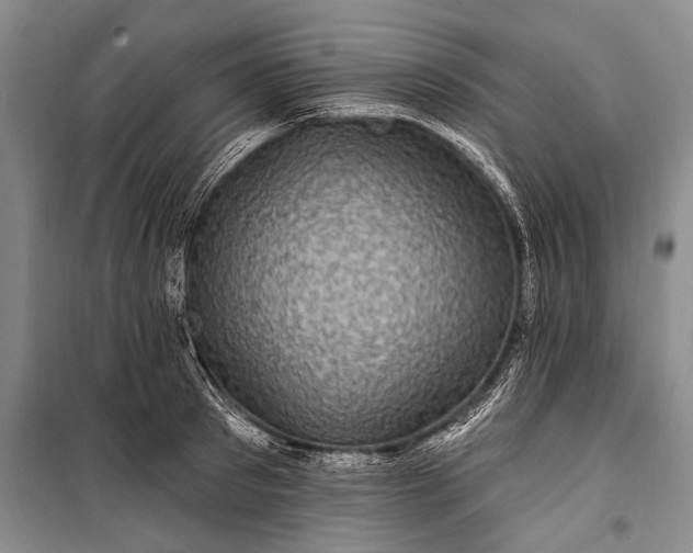 X0000100210897200806131249