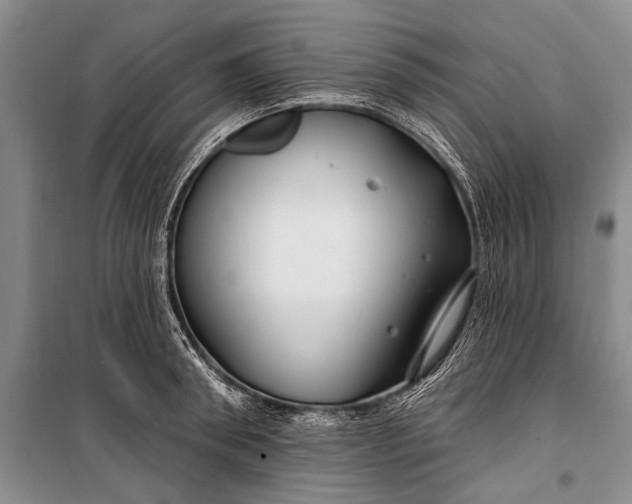 X0000100210898200806131249