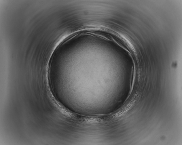 X0000100210899200806131249